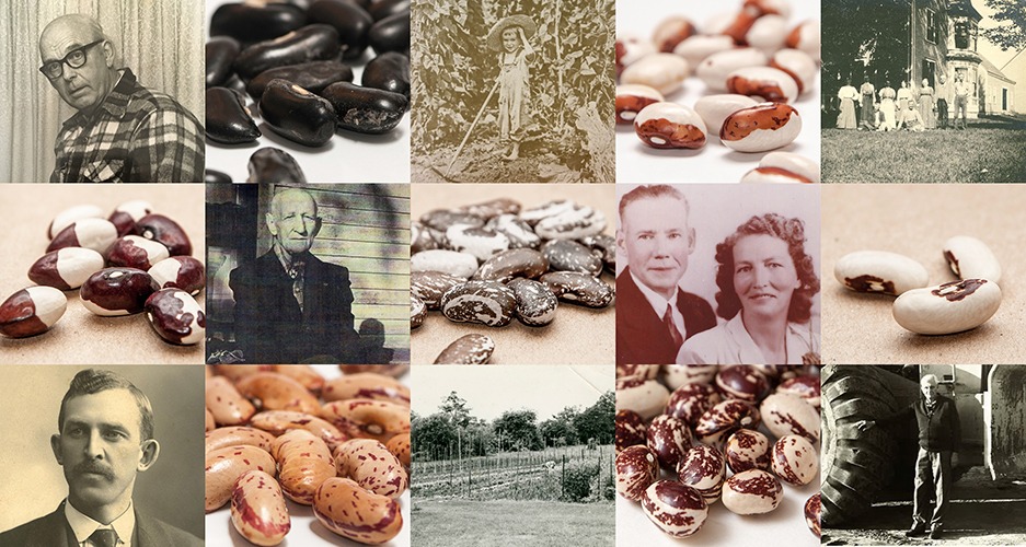 A collage of old photos of people and beans