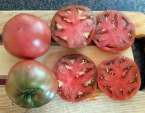 ‘Cherokee Purple’ tomato.