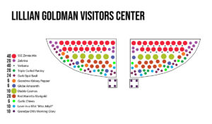 A map showing the locations of different flower plants in a garden