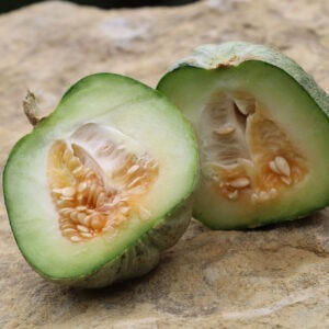 A 'Prescott Fond Blanc' melon split in half revealing green flesh with an orange seedy center