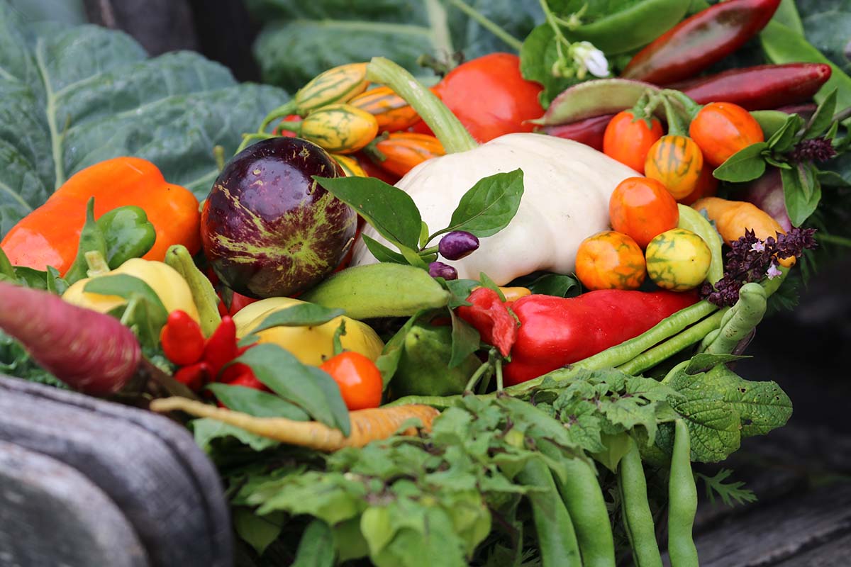 Many colorful vegetables displayed in a pile.