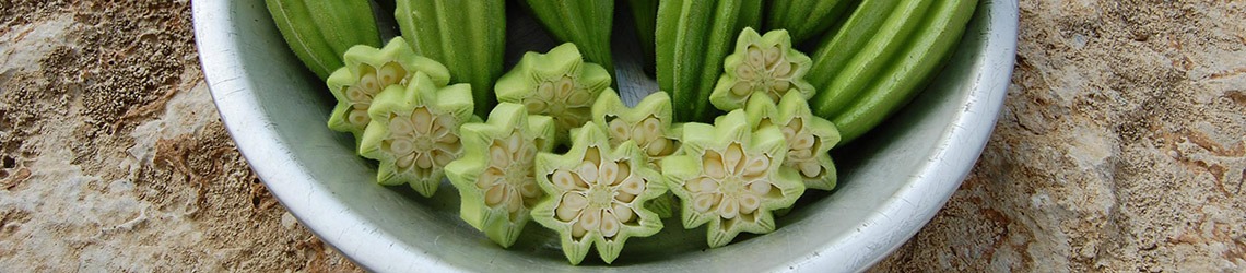 A white bowl with green, star-shaped vegetable slices with white seeds in their centers, in front of green ridged vegetables, on top of a rock surface