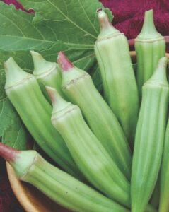 A bowl of green 'Clemson Spineless' okra with red tips and a large okra leaf.