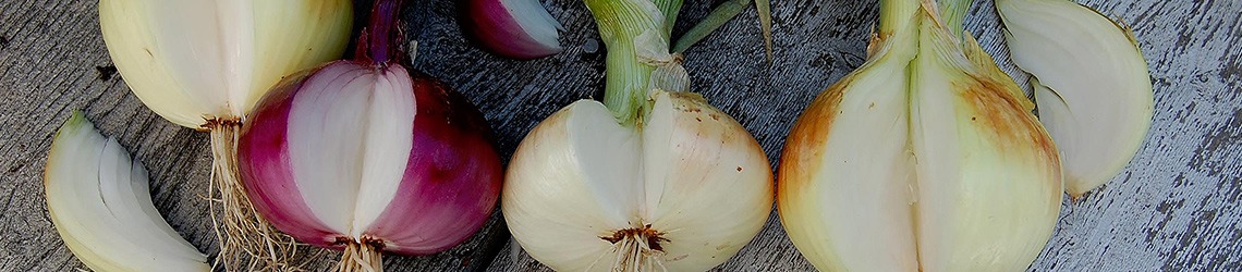 Three cut-open white and brown onions and one cut-open red onion on a wood surface