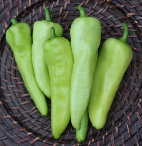 Five bright lime-green 'Hungarian Wax Sweet' peppers in line on a woven basket