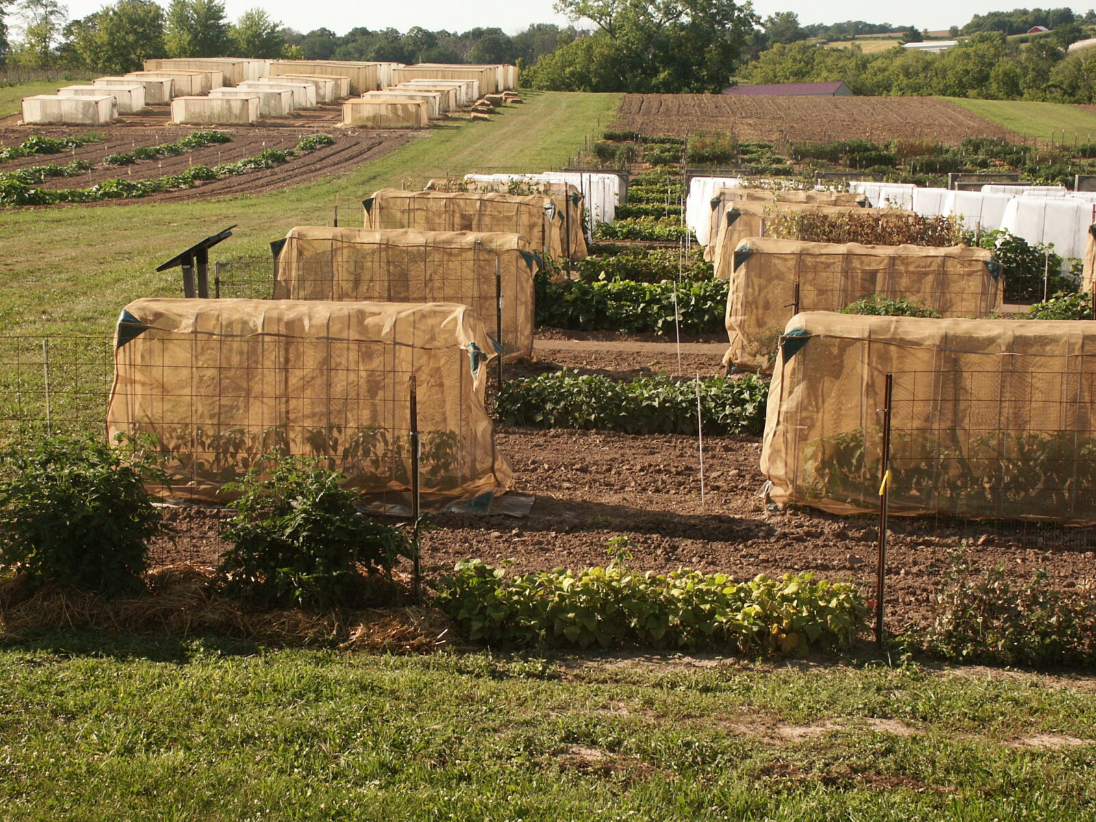 Fields with isolation cages that help keep the collection true to type.