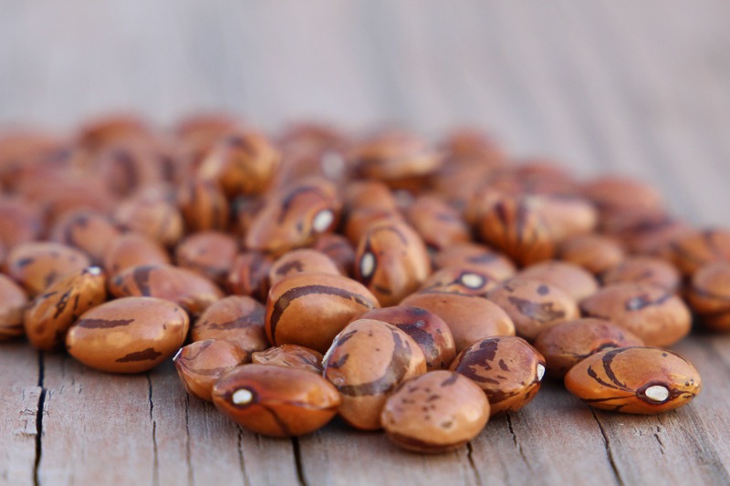 A pile of brown patterned beans sit on a wood surface