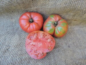 Two large pink 'Purple Top' tomatoes with one tomato slice on a piece of burlap fabric.