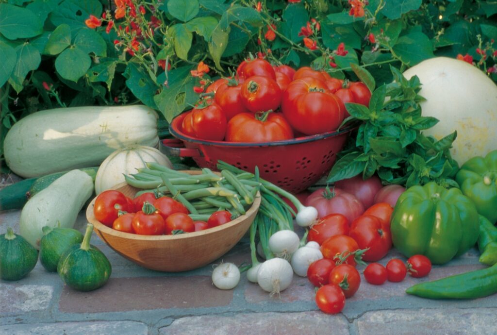 An arrangement of various vegetables in bowls and on the ground, including tomatoes, peppers, beans, squash, onions, melons, and herbs