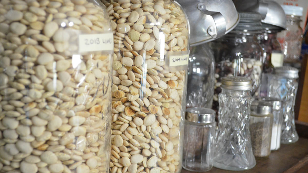 Glass jars holding seeds sit on a shelf next to glass salt and pepper shakers