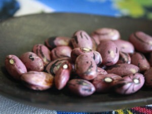 A small bowl of red patterned beans