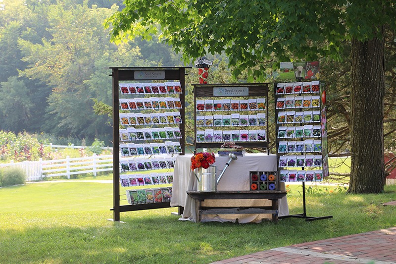 Three display racks holding seed packets, a table, and a bench outside under a tree