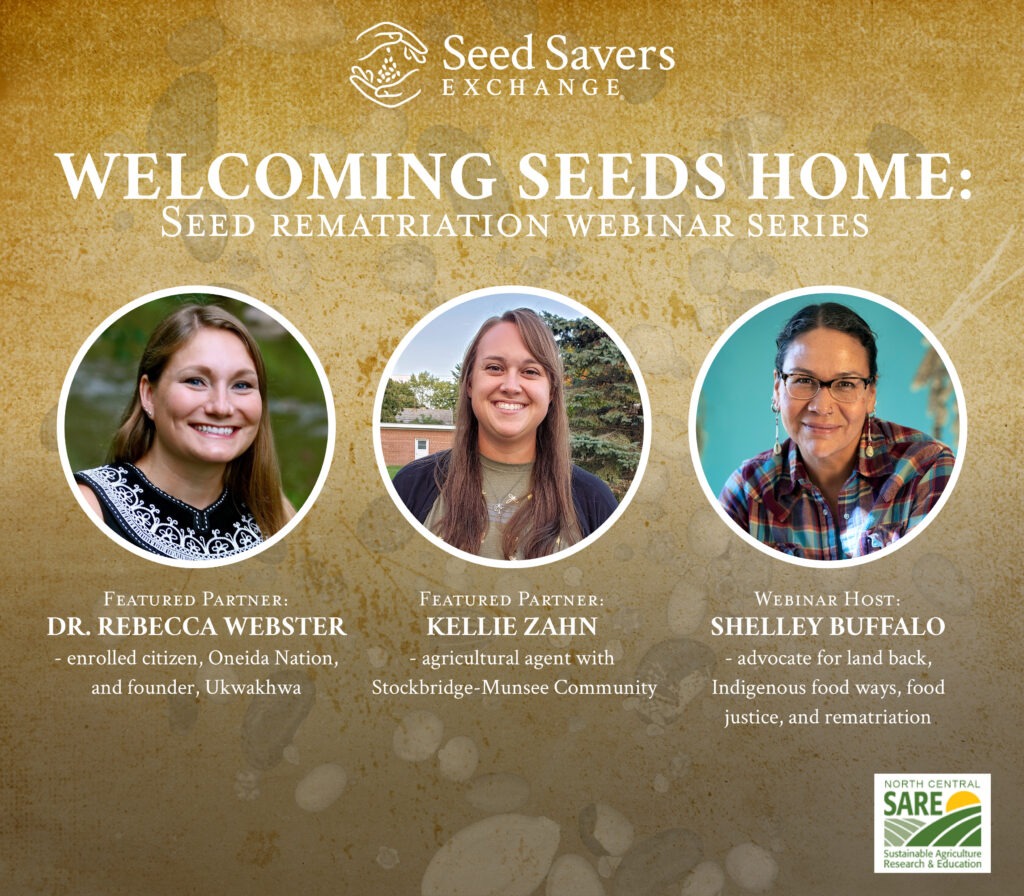 Text reads, "Welcoming Seeds Home" Featured Partner: Dr. Rebecca Webster, enrolled citzen, Oneida Nation, and founder, Ukwakhwa, Featured Partner: Kellie Zahn, agricultural agent with Stockbridge-Munsee Community, Webinar Host: Shelley Buffalo, advocate for land back, Indigenous food ways, food justice, and rematriation.