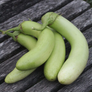 A pile of four long curved 'Thai Green' eggplant on a wood bench
