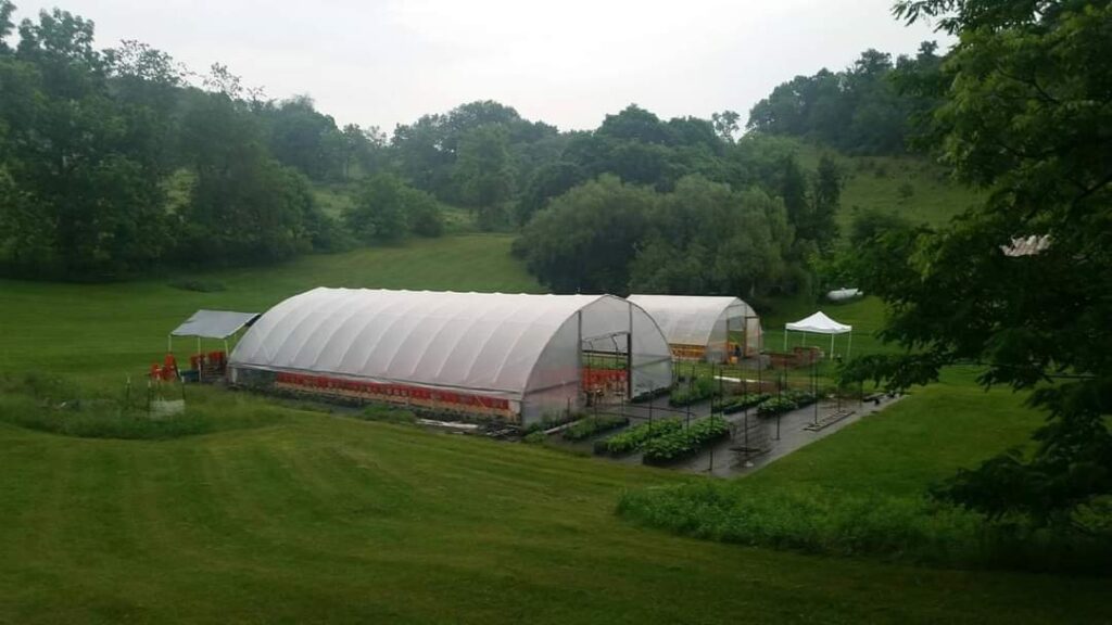 Two large hoop houses on Snow Spring Farm surrounded by trees