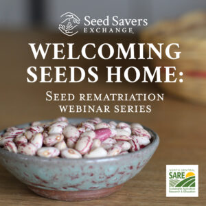 A blue bowl full of pink and white seeds with the words "Welcoming Seeds Home: Seed Rematriation Webinar Series"