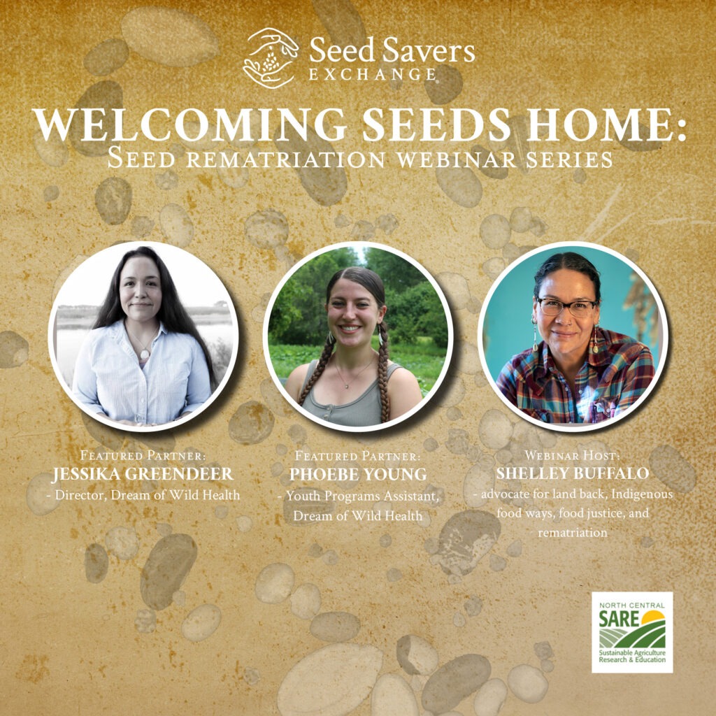 Welcoming Seeds Home: Seed Rematriation Webinar Series.