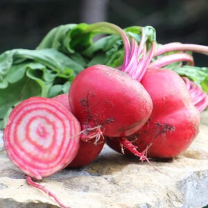 Three pink-red 'Chioggia' beets with long pink stems and green leaves laying on a rock, with another 'Chioggia' beet sliced in half, revealing concentric red and pink rings.