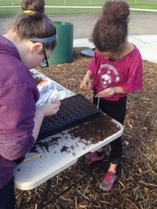 Two young students planting seeds in a plastic tray.