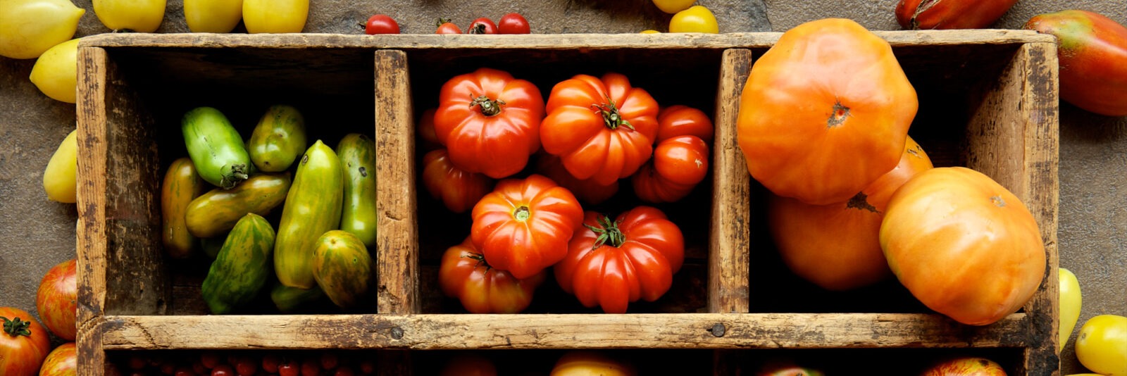Three different heirloom tomato varieties in a wooden box.
