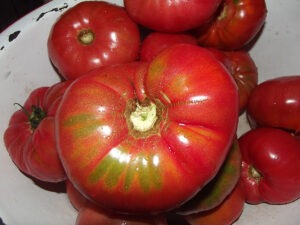large, red tomatoes on a plate