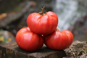 Three large 'German Pink' tomatoes stacked in a pyramid on a wooden surface
