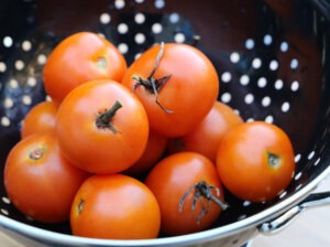 A group of many orange, round, 'Jaune Flamme' tomatoes in a metal strainer.