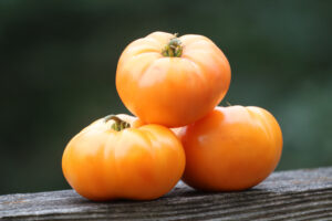 Three orange tomatoes stacked in a pyramid formation on a wood plank.