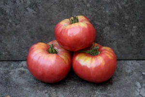 Three red and yellow-splashed 'Peg O' My Heart' tomatoes stacked on top of each other against a stone background
