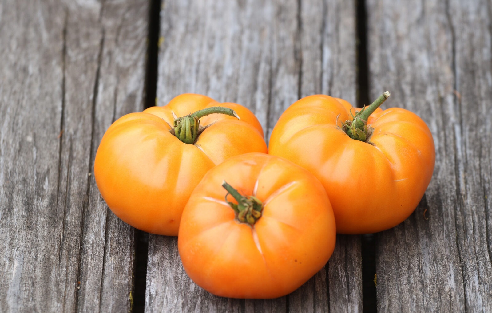 Three orange tomatoes on a wood plank surface.