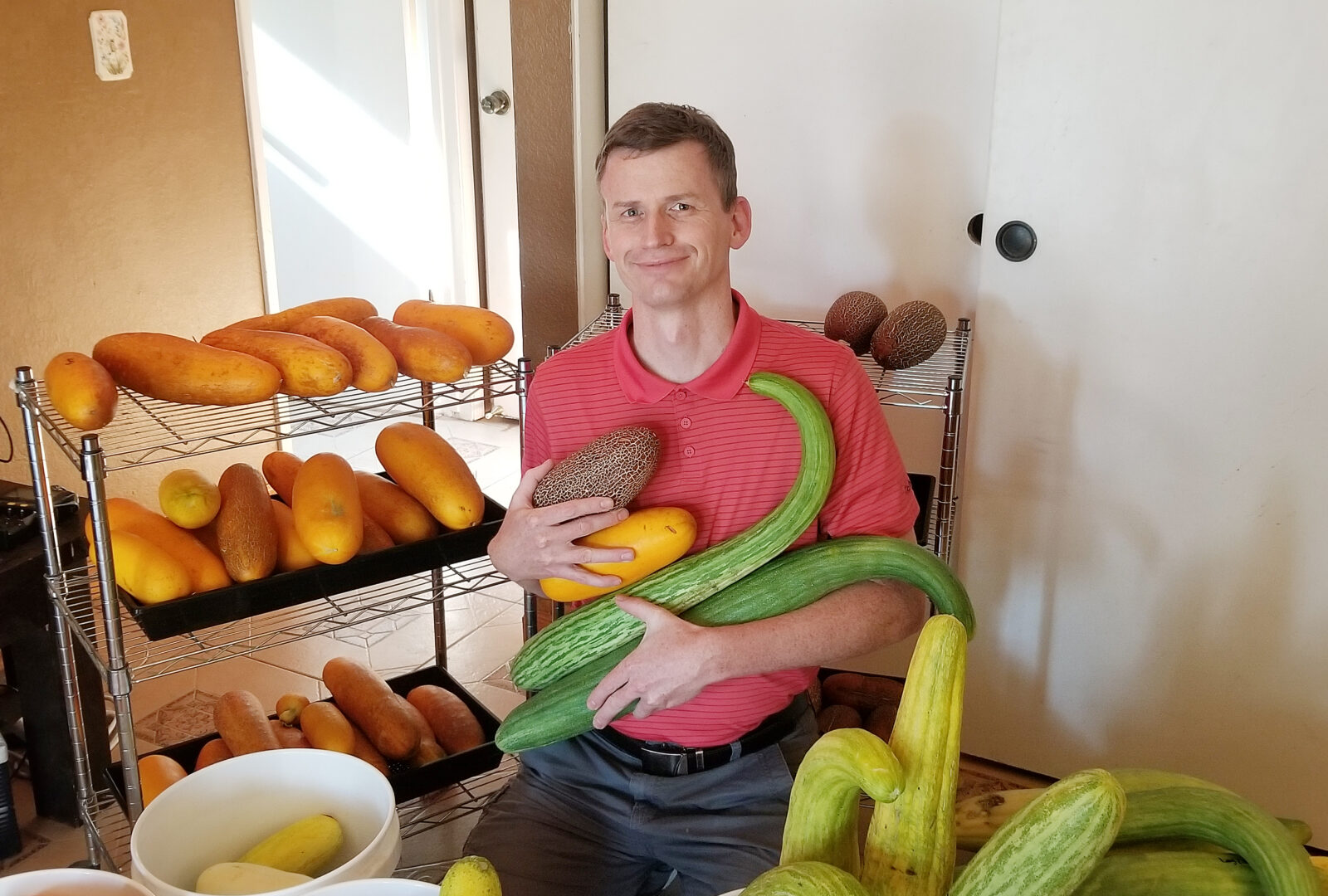 sitting man in a red, collared shirt, holding and surrounded by cucumbers
