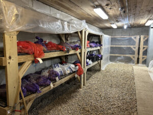 A large underground root cellar with shelves lining the walls containing sacks of potatoes