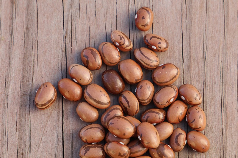 Brown pattern beans lying on a wooden surface