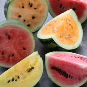 A group of 6 watermelon varieties (some are cut in half or into quarters), with flesh ranging from yellow, to orange, to pink and red.