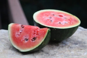A half watermelon and a quarter watermelon sitting on a rock