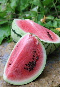 A halved 'Chris Cross' watermelon lies on a rock surface with a quarter watermelon wedge propped against it.