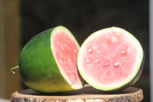 A watermelon cut in half widthwise, displayed on a tree stump