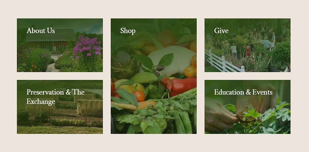 SSE website homepage