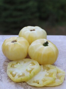 Three pale yellow 'White Tomesol' tomatoes and three tomato slices arranged on a smooth granite surface.