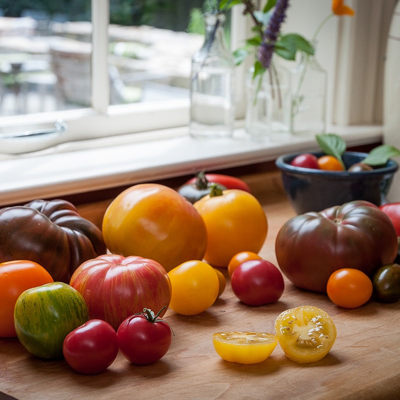 A bunch of different size and color tomatoes on a wooden counter