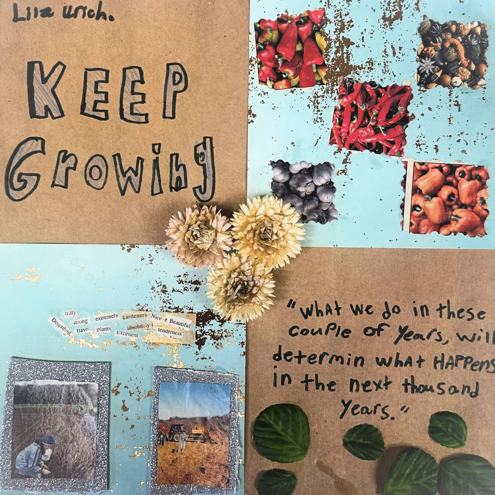A scrapbook page with several photos of vegetables, strawflowers, and text written in marker.