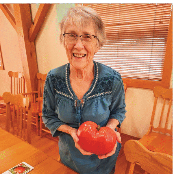 A woman smiles to camera and is holding a large heirloom tomato.
