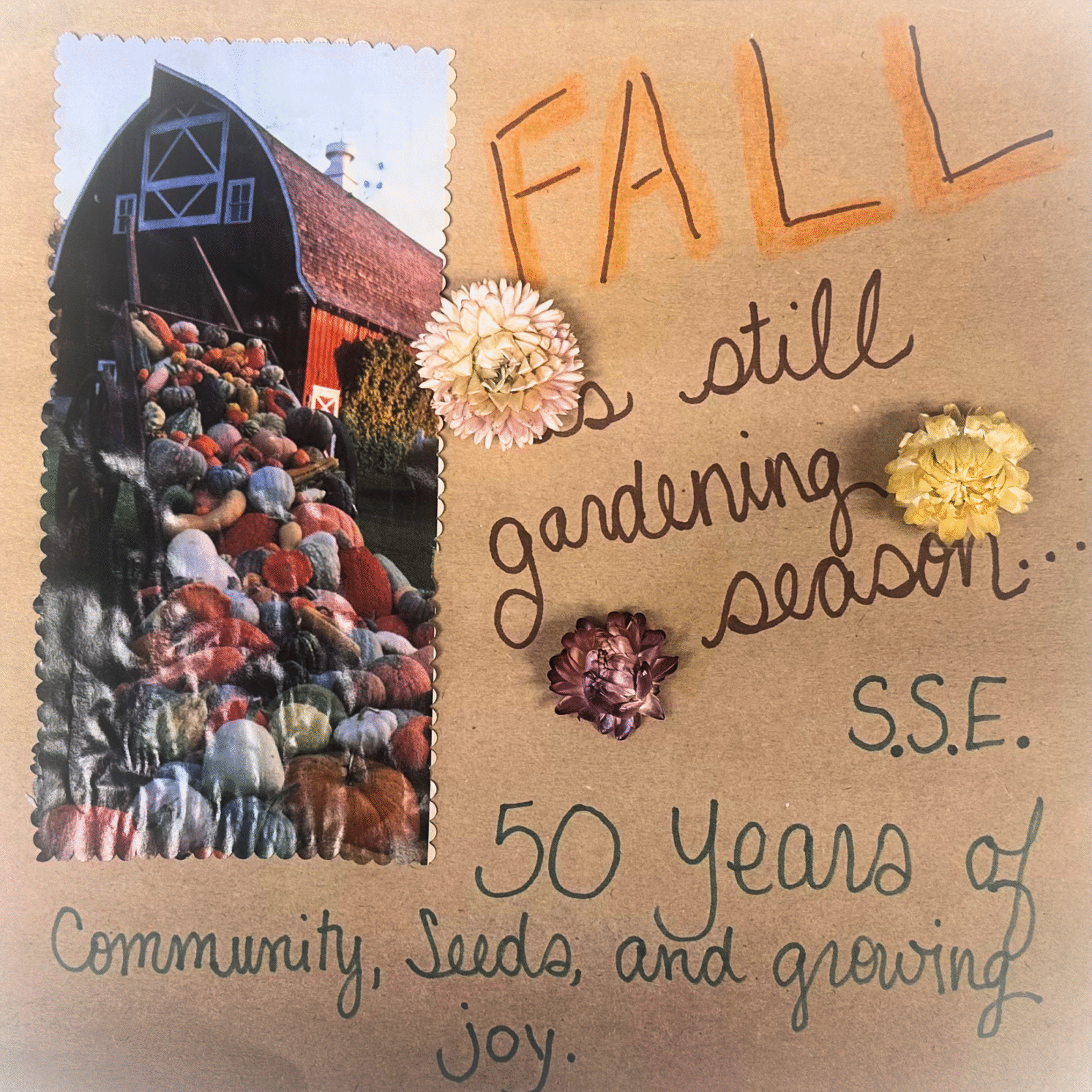 A scrapbook page with a photo of squash and a barn, handwritten text in marker, and several strawflowers