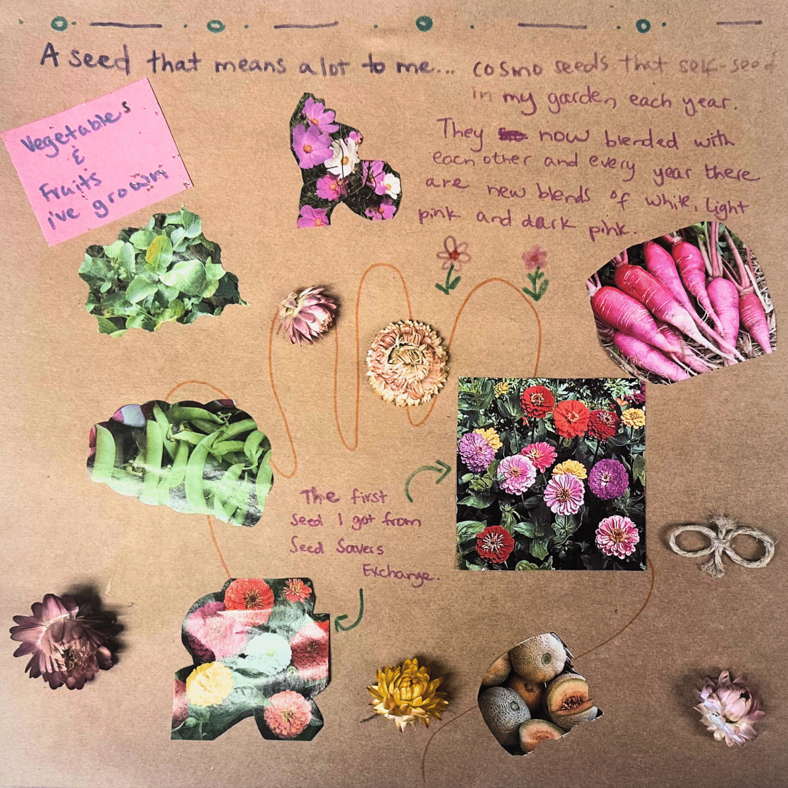A scrapbook page with photos of vegetables and flowers, several strawflowers, and text handwritten in marker