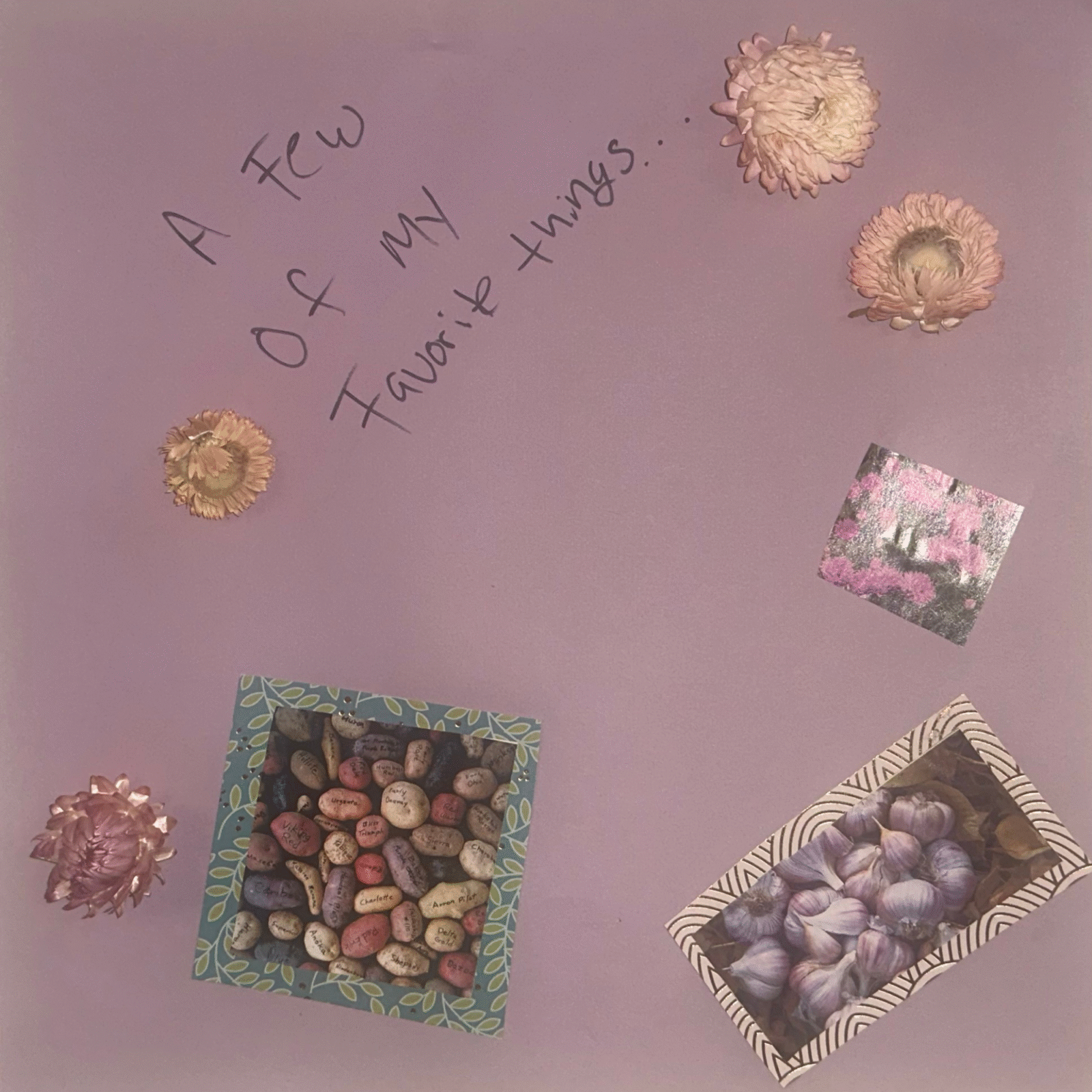 A purple scrapbook page with handwritten text, strawflowers, and photos of potatoes and garlic