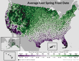 A color-coded frost map of the United States