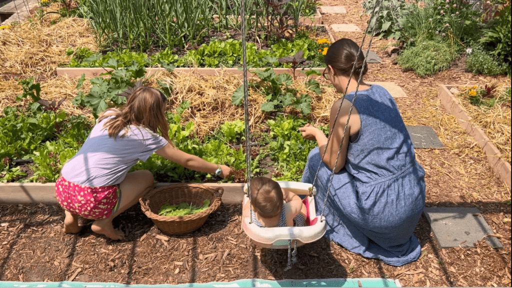 A woman and a child kneel in front of a garden bed and harvest greens. A baby sits in a swing behind them