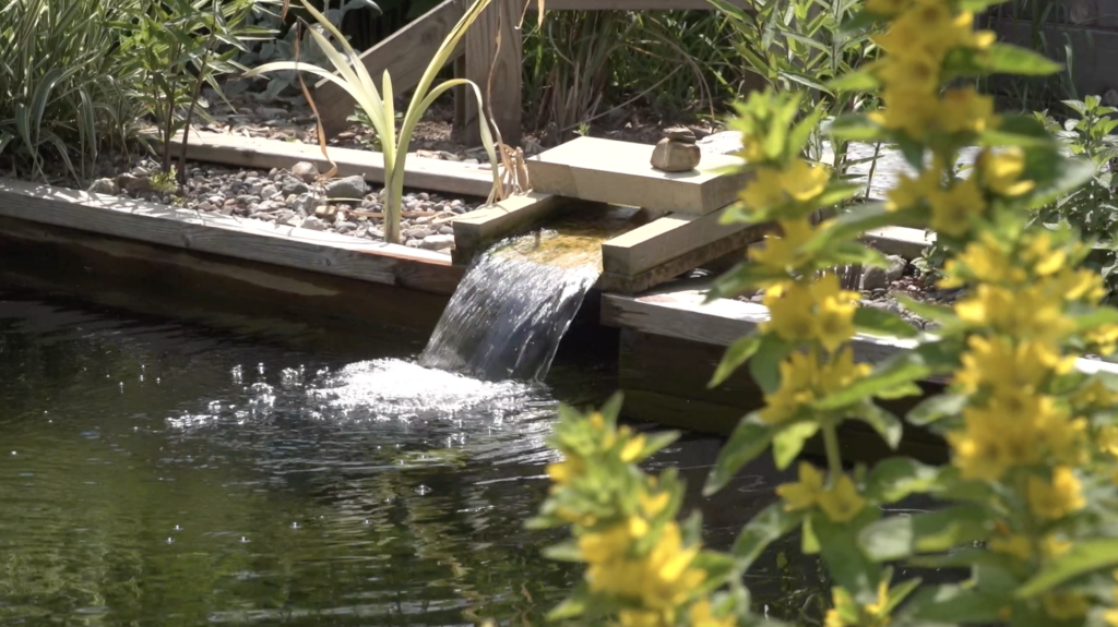A fountain mounted on the side of a pool pours water, surrounded by plants