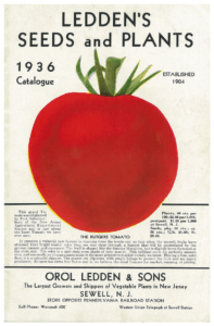 The cover of an old Ledden's Seeds and Plants catalog from 1936 featuring a large red tomato