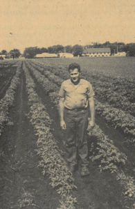 black-and-white photo of man standing beside plants in a field